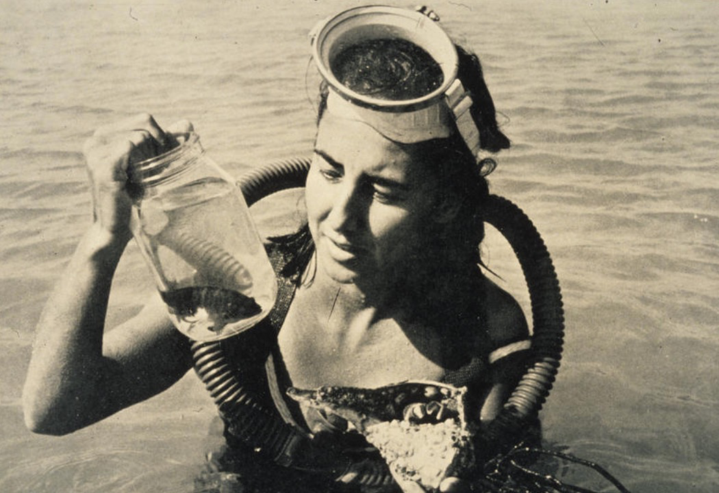 胆小的女性海洋生物学家浮潜与鲨鱼