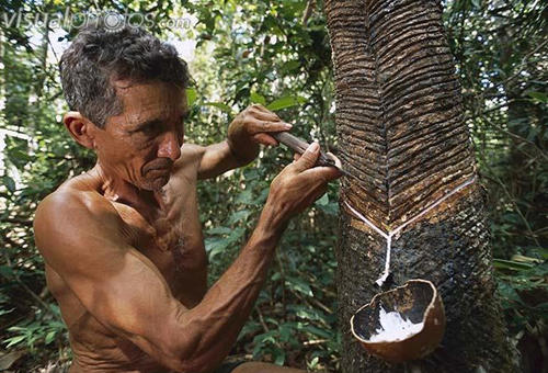 古代中美洲人在固特异：前3000年发明了橡胶