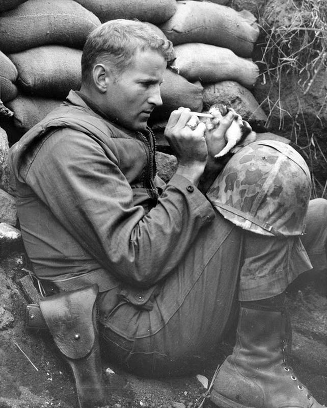 1952年朝鲜战争中士兵喂养一只小小猫的图片背后的故事