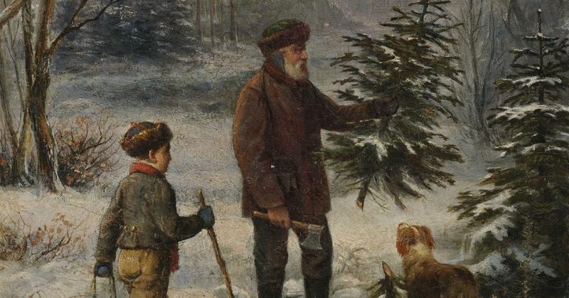圣诞树：为什么我们为基督教节日砍伐树木的历史和渊源